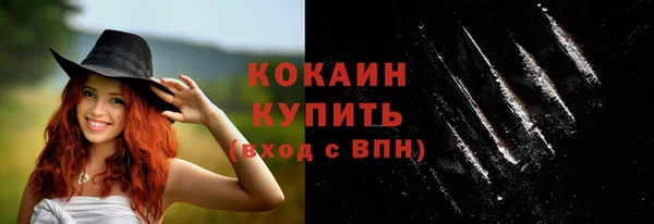 дживик Абинск