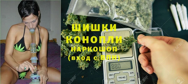 тгк Пересвет