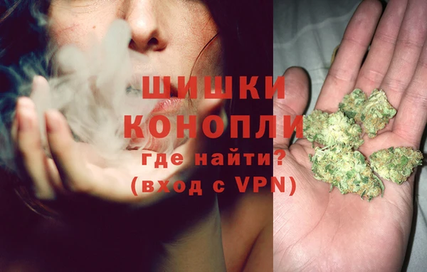 дживик Абинск