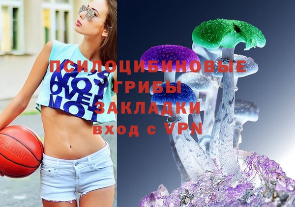 дживик Абинск