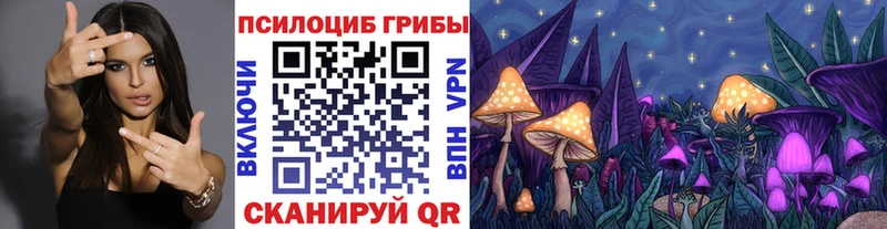 Галлюциногенные грибы Psilocybe  наркошоп  MEGA вход  Калач 